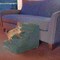 Pet Adobe Pet Adobe High Density Foam Stairs 4 Step Design, Ramp for Small Dogs, Cats with Cover, Gray 478231LDT - alternate 7